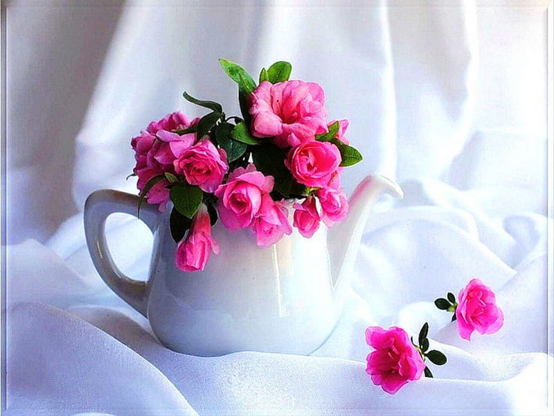 Thinking of you for Vivvy, flowers, roses, white, tea pot, pink, HD wallpaper