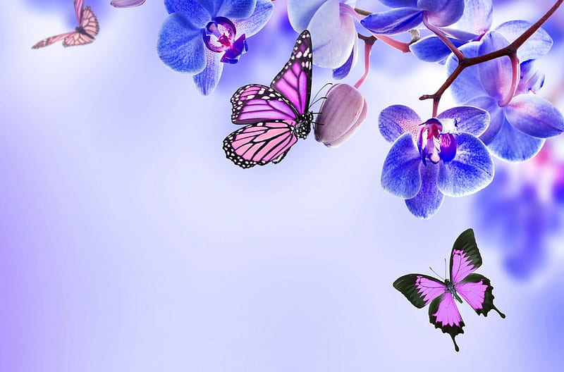 ✿⊱•╮P u r p l e╭•⊰✿, pretty, lovely, colors, love four seasons, bonito, butterflies, orchids, purple, flowers, nature, butterfly designs, animals, HD wallpaper