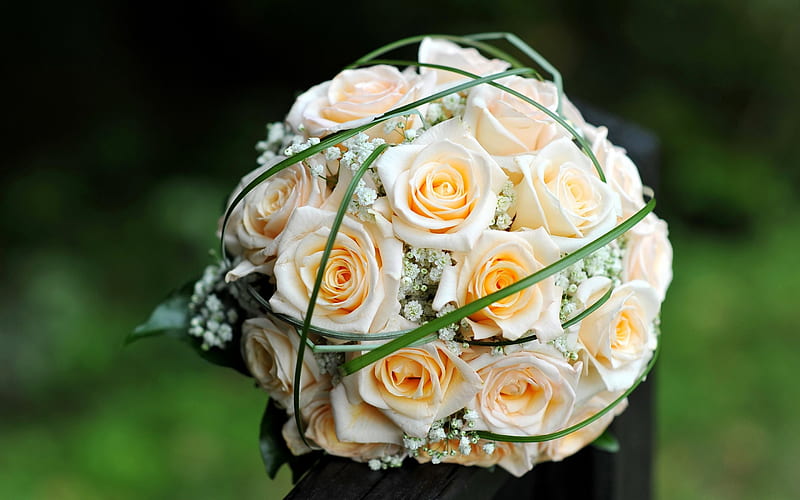 wedding bouquet, roses, beautiful bouquet, roses bouquet, HD wallpaper