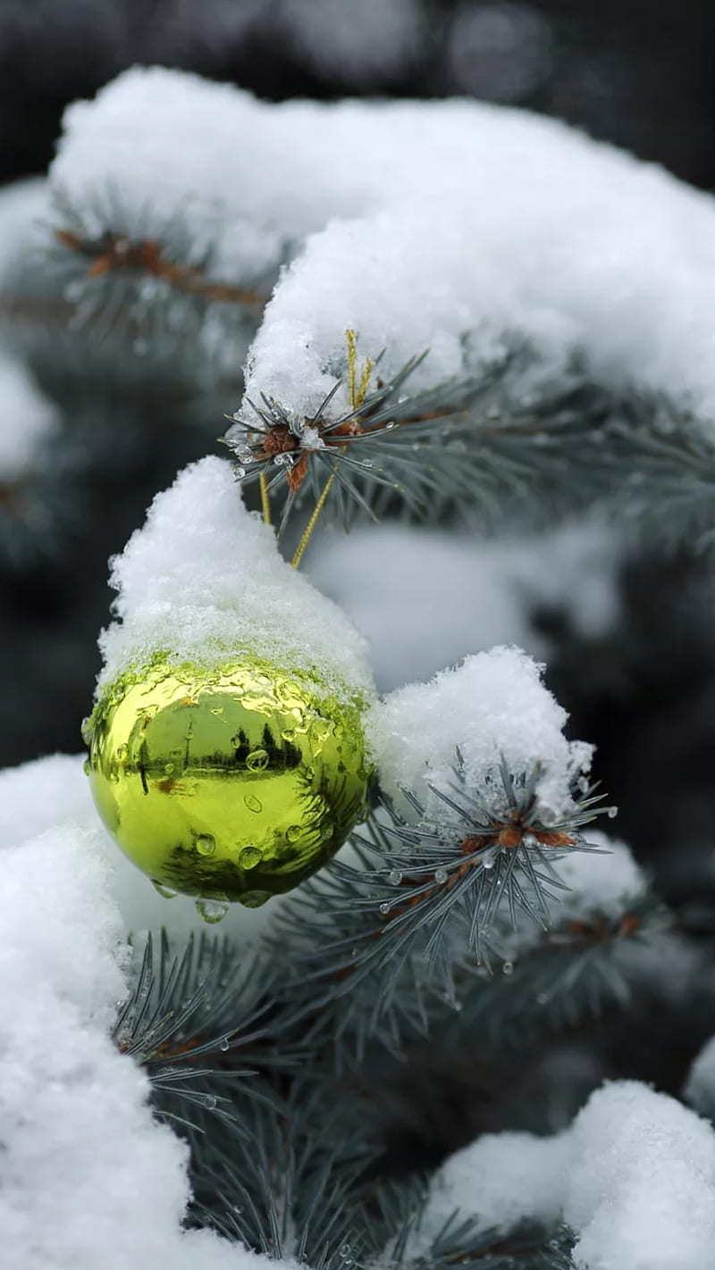 Its christmas, ball, christmas tree, green, snow, tree, winter, HD phone wallpaper