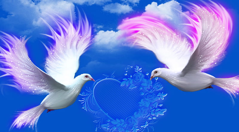 dove, birds, love, heart, HD wallpaper