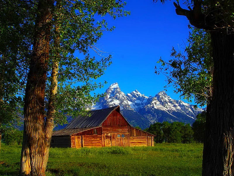 Barn in Grand Teton, pretty, house, grass, cottage, Grand Teton, cabin, bonito, snowy, barn, mountain, nice, peaks, lovely, lonely, sky, summer, nature, meadow, wooden, field, HD wallpaper