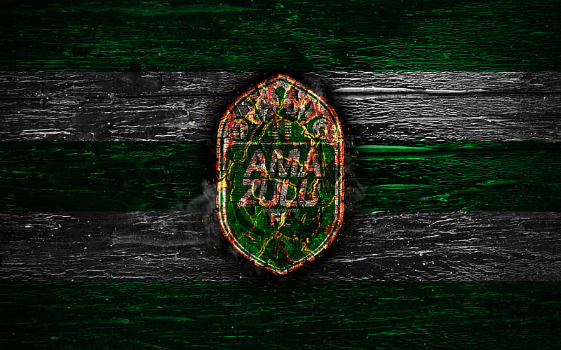 Amazulu FC, fire logo, Premier Soccer League, green and white lines, South African football club, grunge, football, soccer, Amazulu logo, wooden texture, South Africa, HD wallpaper