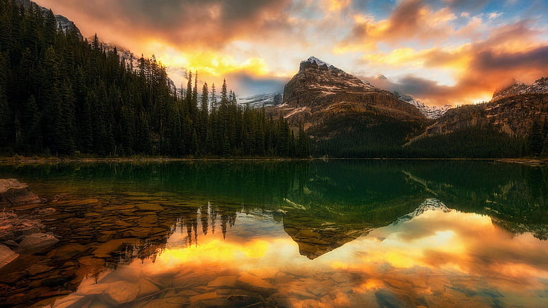 Reflections In The Evening, Alberta, clouds, colors, landscape, trees ...