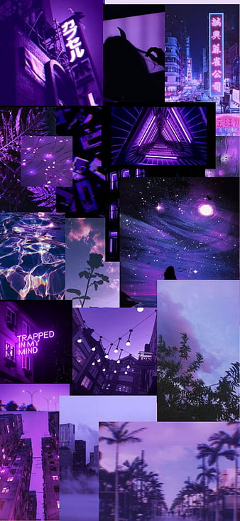 Download Various Shades of Purple Collage Wallpaper  Wallpaperscom