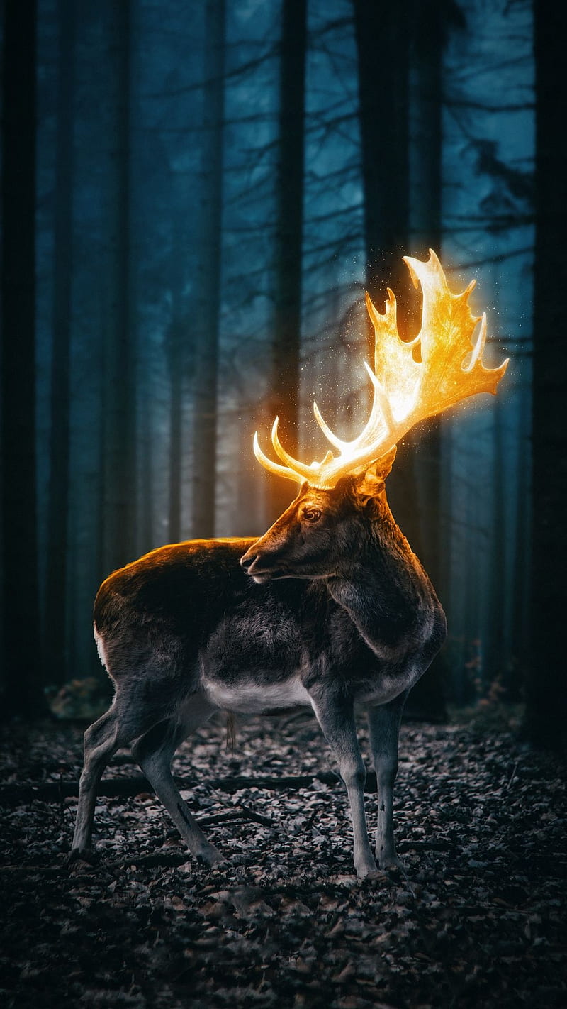 Fantasy, animal, deer, forest, lightning, HD phone wallpaper | Peakpx