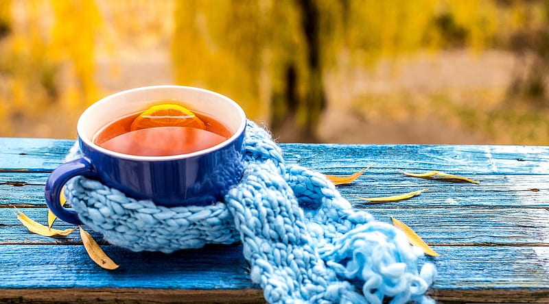 Cold is coming , seasons, abstract, tea, cold, autumn, fall winter, softness, still life, graphy, cup, drink, HD wallpaper