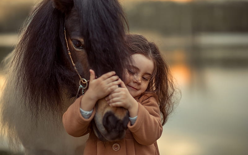 Little hug, poney, horse, animal, cal, cute, hug, girl, copil, child, HD wallpaper