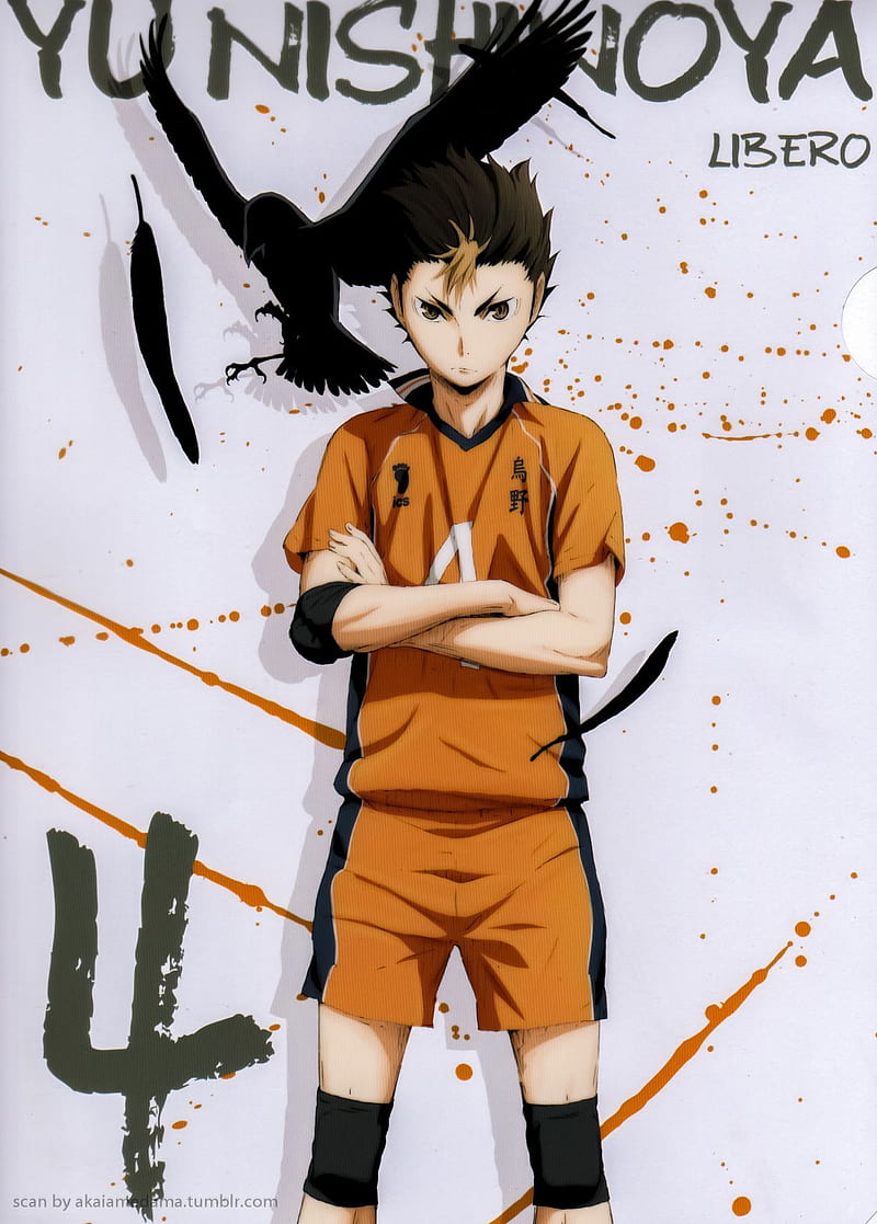 Haikyuu Wallpaper HD 2K 4K APK for Android Download