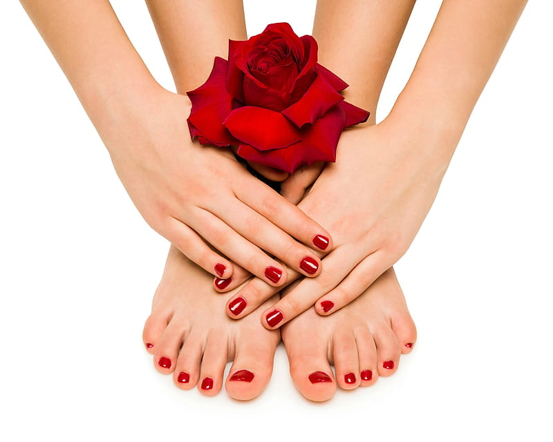 Red, legs, rose, manicure, flower, hand, nails, woman, HD wallpaper