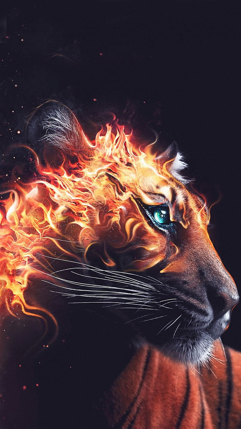 burning tiger head, animal, burn, fire, wild, HD phone wallpaper