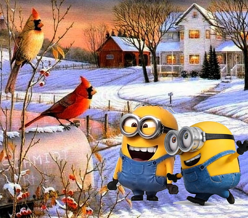 Christmas Time, mailboxes, holiday, houses, trees, winter, cardinals, minion, funny minion, snow, snowy road, HD wallpaper