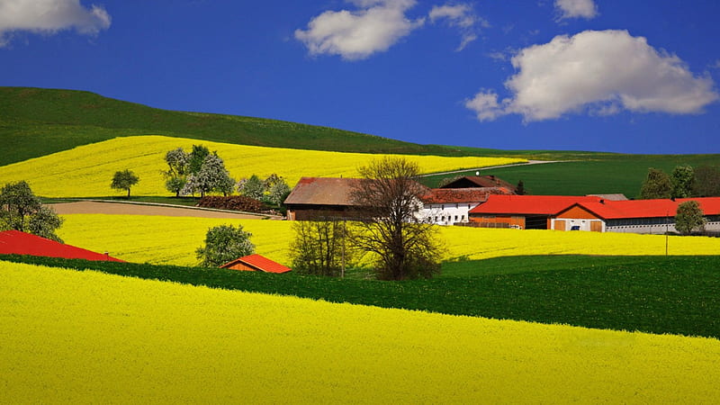 Beautiful Rural Landscape, hills, nature, fields, houses, HD wallpaper