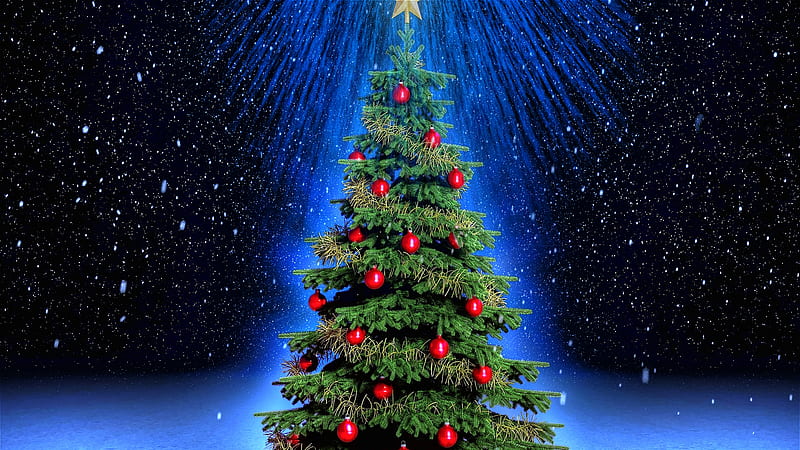 A Fine Pine, pretty, tree, christmas, decorative, bonito, lights, blue, HD wallpaper