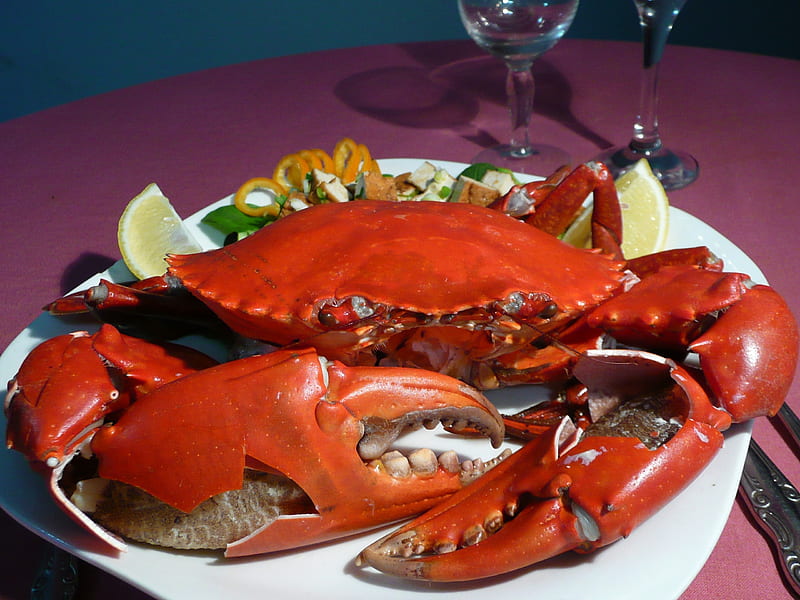 Crab Dinner, dinner, seafood, shell, crab, HD wallpaper