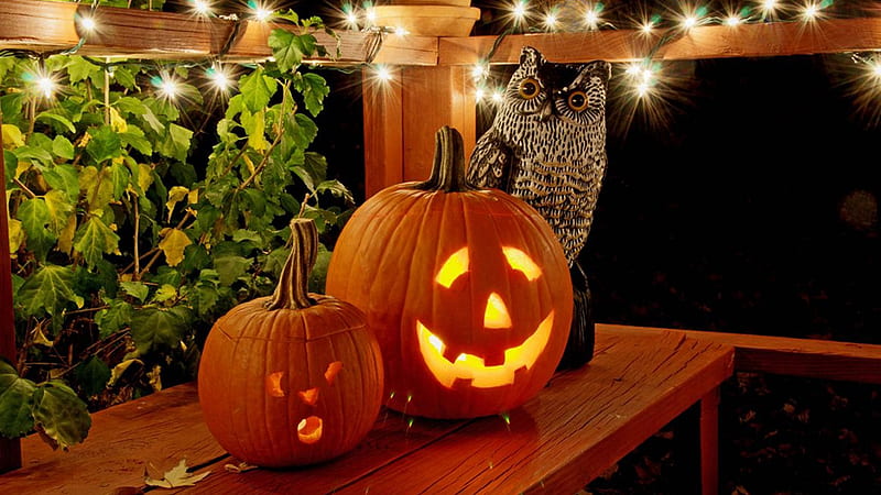 Pumpkins Lights Owl Faces Happy Halloween, HD wallpaper