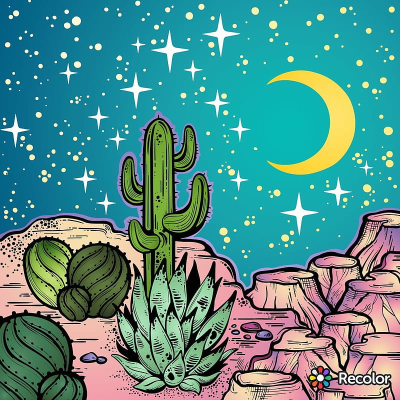 Download Aesthetic Desert Night Cute Things Wallpaper