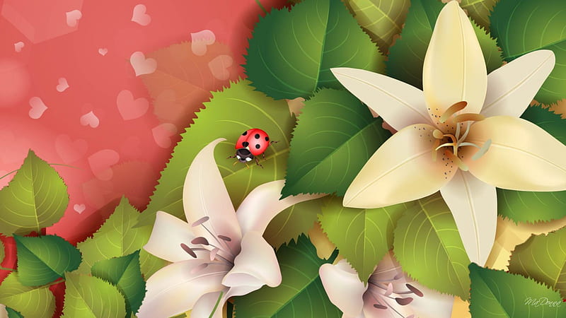 White Lilies and Hearts, fresh, lilies, spring, corazones, floral, ladybug, leaves, Valentines Day, summer, flowers, lady bug, HD wallpaper