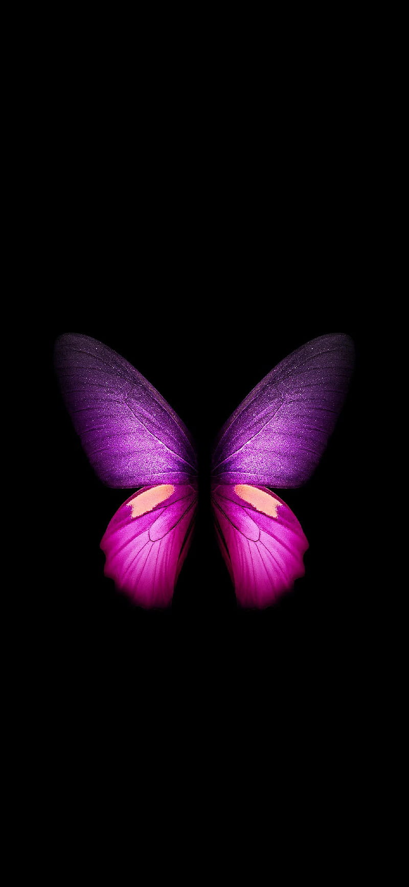 Butterfly, butterfly, roblox, HD phone wallpaper