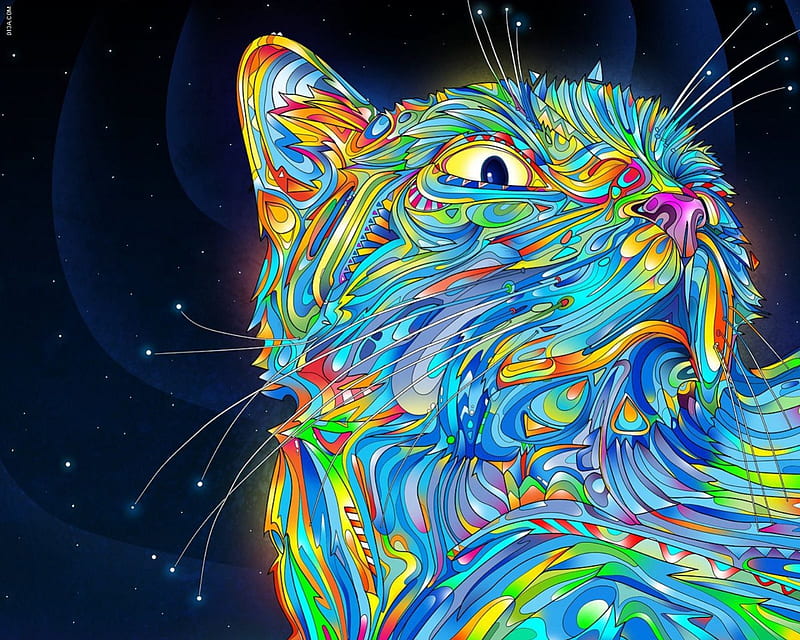 epic , painting, color, epic, cat, HD wallpaper