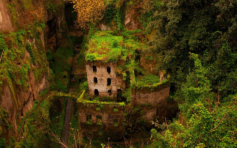 graphy, Abandoned, Building, Old building, Ruin, Overgrown, Trees, Monastery, Italy, Valley / and Mobile Background, Old Places, HD wallpaper