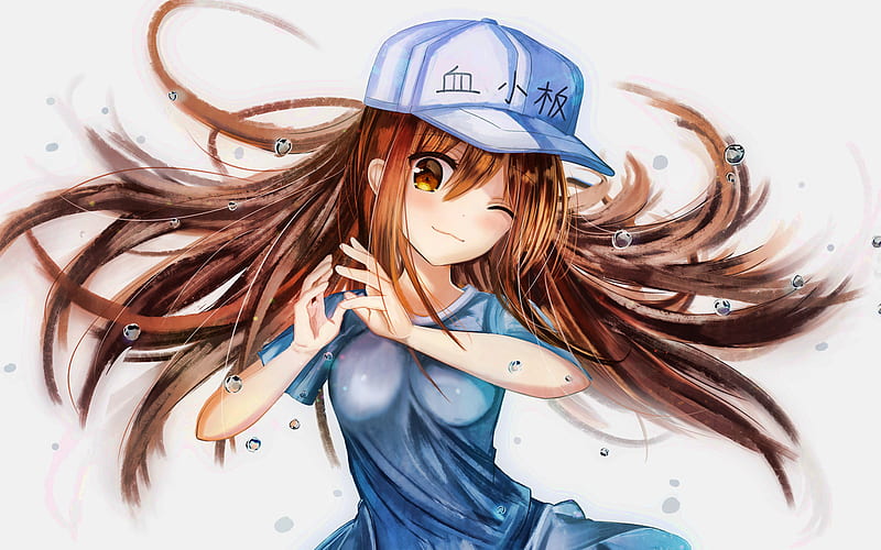Platelet, artwork, girl in blue hat, manga, Cells at Work, HD wallpaper