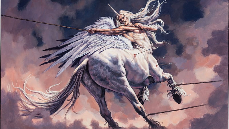 centaur, wings, horn, rope, arrow, HD wallpaper