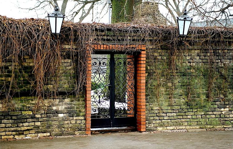 Garden Gate, gate, art , nice, garden, iron, lamplighters, wall, HD wallpaper