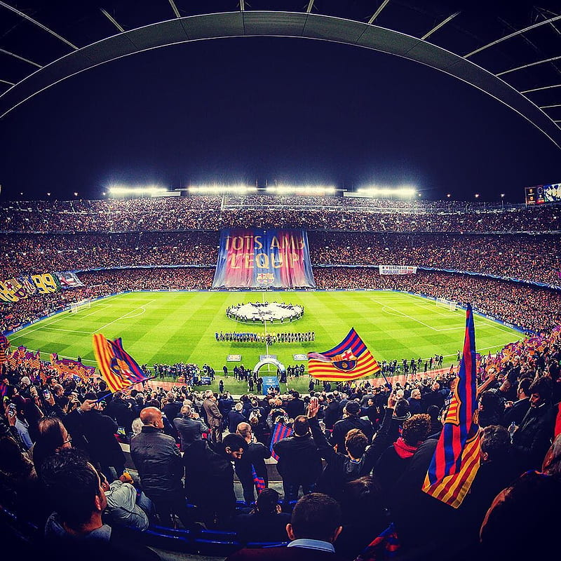 FC Barcelona, soccer clubs, soccer, Camp Nou, Champions League, HD phone wallpaper