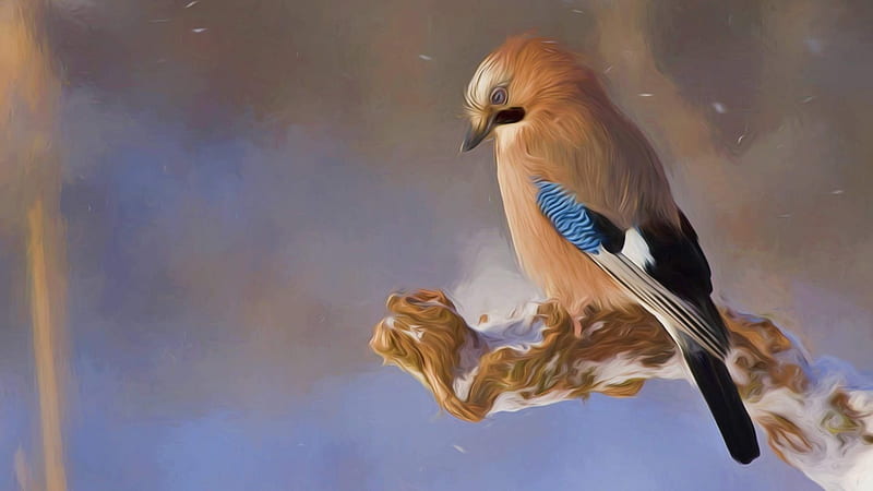 Eurasian Jay Bird, bird, painting, jay, branch, animal, HD wallpaper