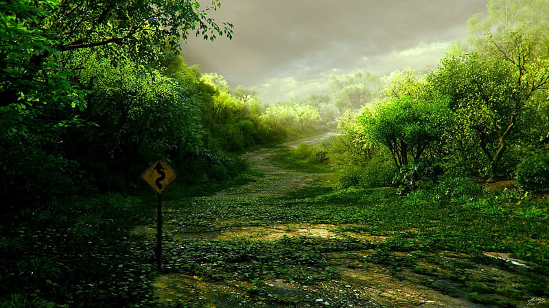 FOREST PATH, road marker, art, signs, winding, overgrow, HD wallpaper