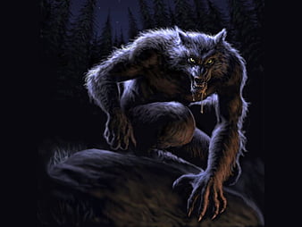 Dark Werewolf Wolf Wolf pro Evil Wolf Eyes HD wallpaper  Pxfuel