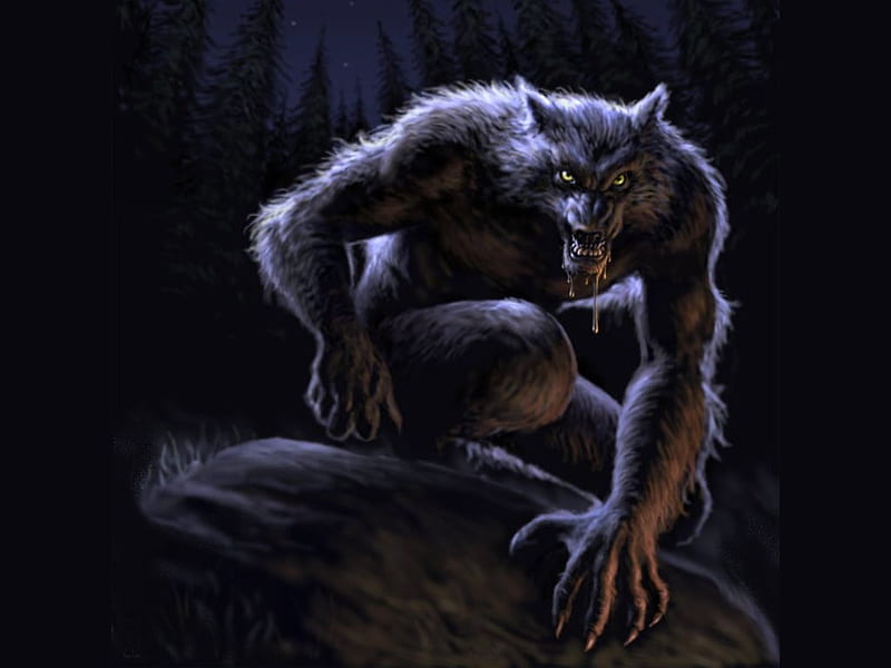 werewolf, fantasy, wolf, dark, HD wallpaper