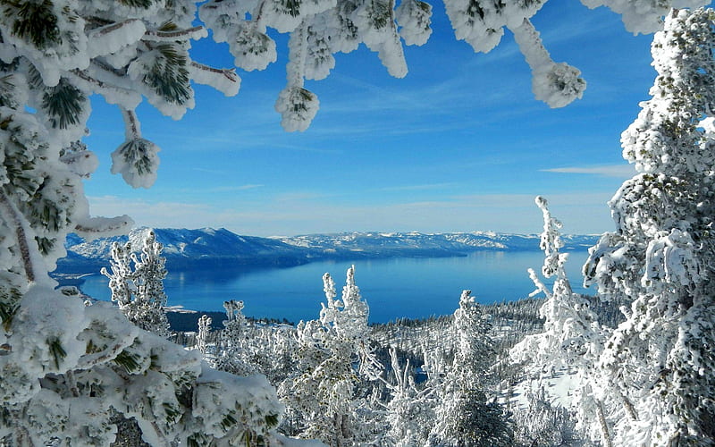 Đội lạnh của mùa đông Tahoe đã được nhắc đến tại hình nền máy tính Winter Lake Tahoe Desktop Wallpaper này. Bức tranh tuyệt đẹp này sẽ mang bạn trở lại với cảm giác của mùa đông, khi tuyết phủ kín bờ, tận hưởng bầu không khí trong lành. Hãy thưởng ngoạn vòng quanh hồ Tahoe từ màn hình máy tính của bạn.