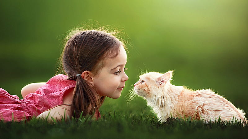 Cute Little Girl Is Playing With Cat On Green Grass Wearing Red Dress In Green Background Cute, HD wallpaper