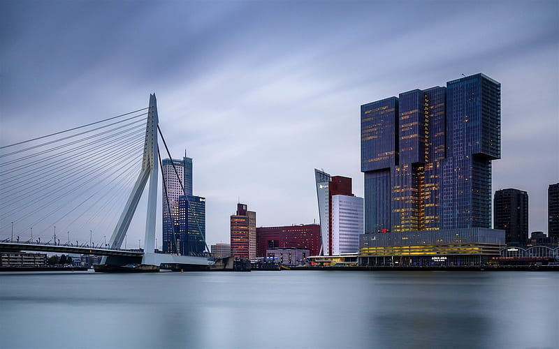 Erasmus Bridge, Rotterdam, Erasmusbrug, cable-stayed and bascule bridge, evening, sunset, modern buildings, Rotterdam cityscape, South Holland, Netherlands, HD wallpaper