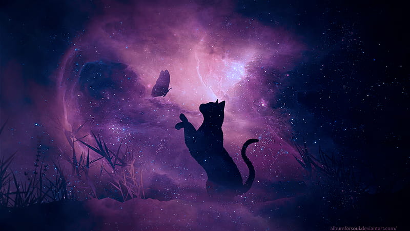 cat, silhouette, butterfly, starry sky, galaxy, stars, shine, HD wallpaper