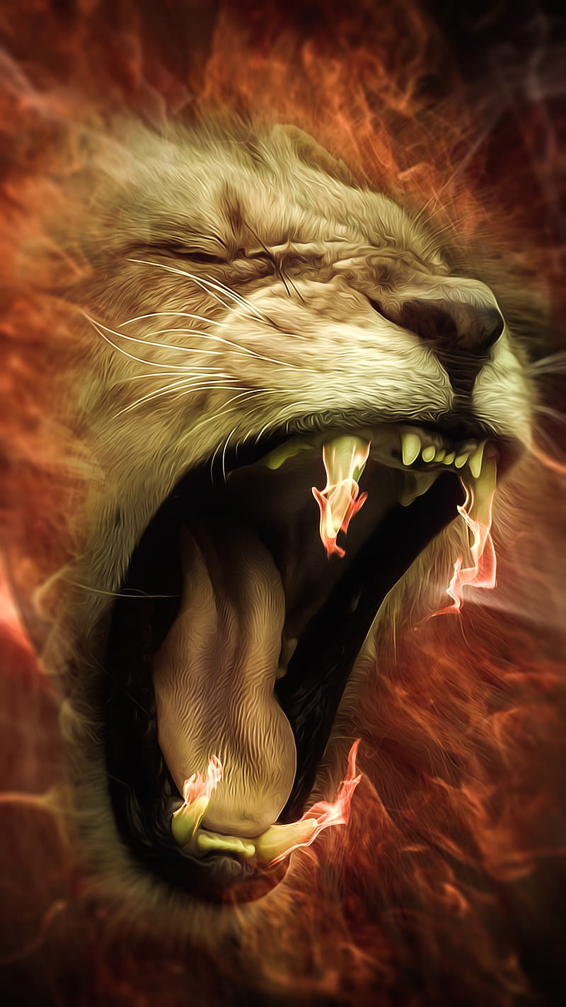 Lion II, animals, fire, flame, HD phone wallpaper