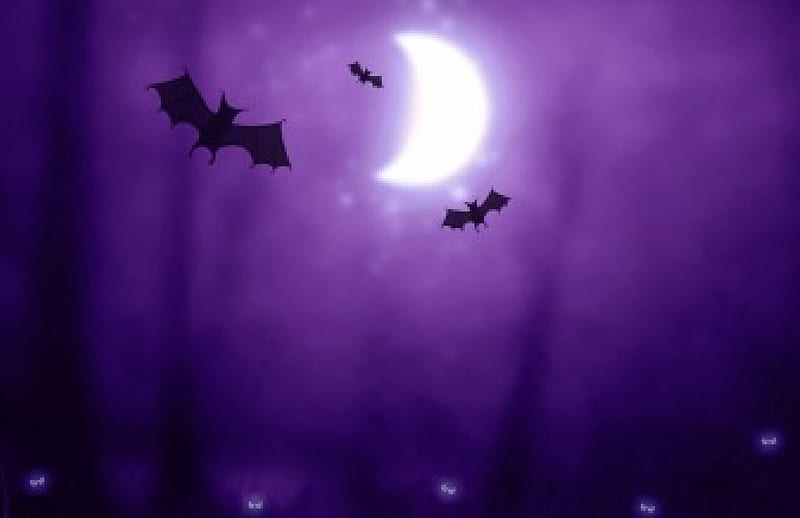 Bats, moon, purple, bat, Halloween, being, HD wallpaper