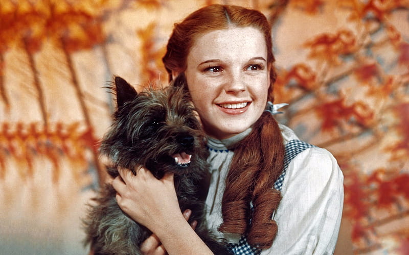 Dorothy And Toto In Wizard Of Oz, Entertainment, Wizard, Movies, Toto, Judy Garland, Dorothy, Oz, HD wallpaper