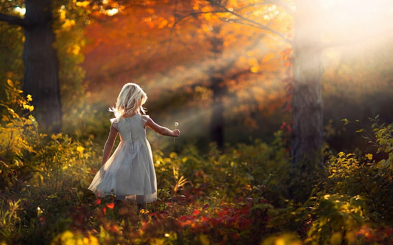 Child - rays of the sun, forest, autumn, rays of the sun, Child, HD wallpaper