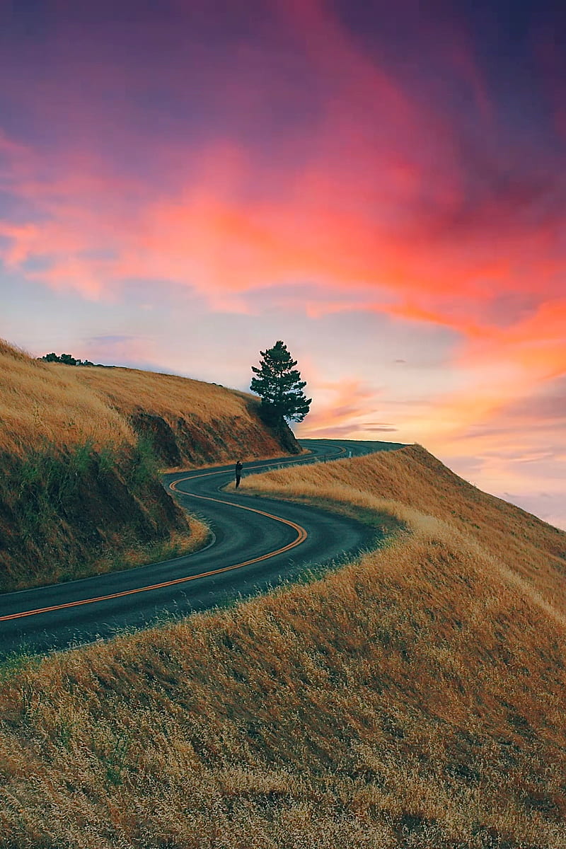 Sunset Landscape, hill, nature, road, travel, tree, view, HD phone wallpaper