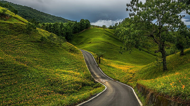 winding road through green hills, hills, grass, winding, road, trees, HD wallpaper