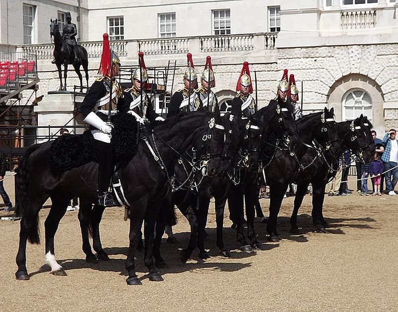 Formation of Blues and Royals at ease., blue tunics, red plumes, horses, seven guardsmen, HD wallpaper