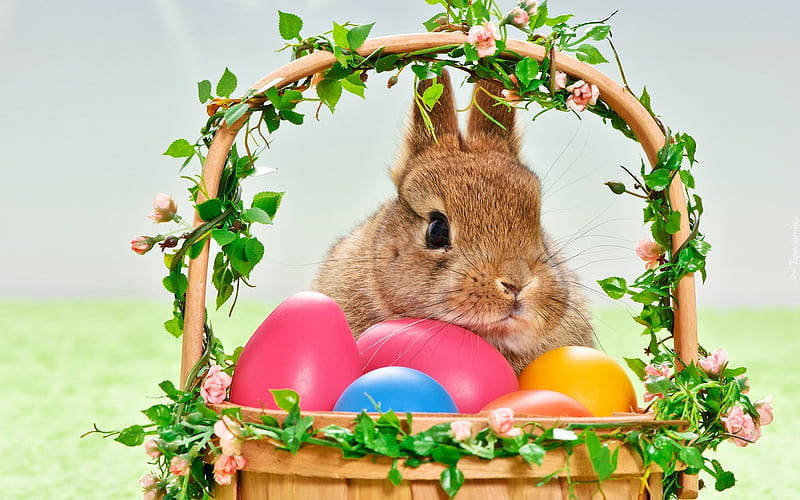 Basket with Easter eggs, rabbit, symbols of Easter, spring, holidays, Easter, HD wallpaper