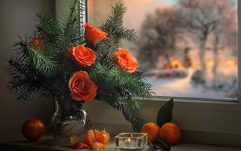 Still life, window, craciun, orange, christmas, rose, vase, trandafir, winter, fruit, green, bouquet, flower, fir, HD wallpaper