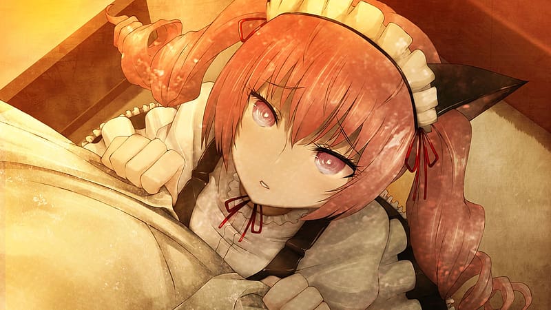 Anime Steins Gate Faris Nyannyan Hd Wallpaper Peakpx