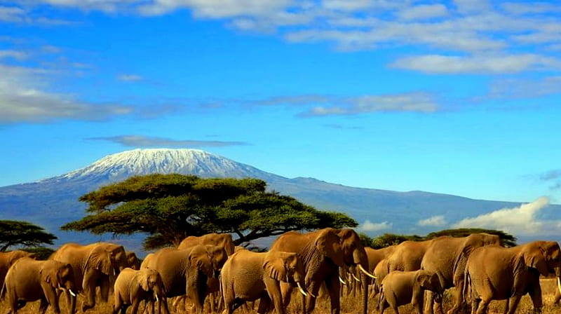 Machame Route Kilimanjaro, Kilimanjaro, Sky, Clouds, White, Mountain, bonito, Machame Route, Blue, Brown, HD wallpaper