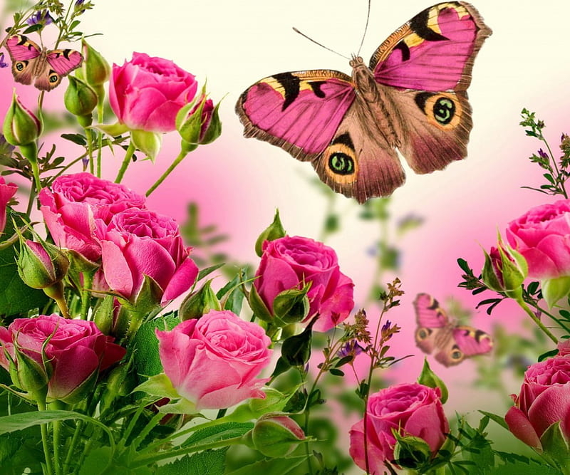 Flowers and butterfly, red, flowers, butterfly, pink, HD wallpaper