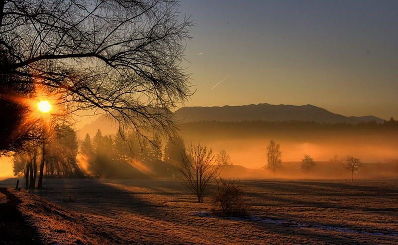 Morning Mist Photos, Download The BEST Free Morning Mist Stock Photos & HD  Images